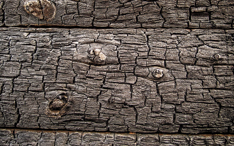 burnt wood texture, Black wood texture, burnt boards, wood texture, charred wood texture, HD wallpaper