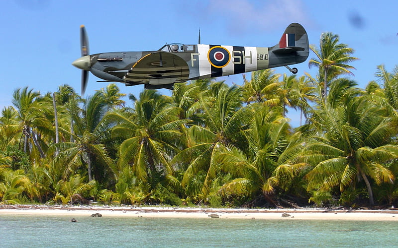 WWII RAF Spitfire, jungle, aircraft, ww2, spitfire, HD wallpaper