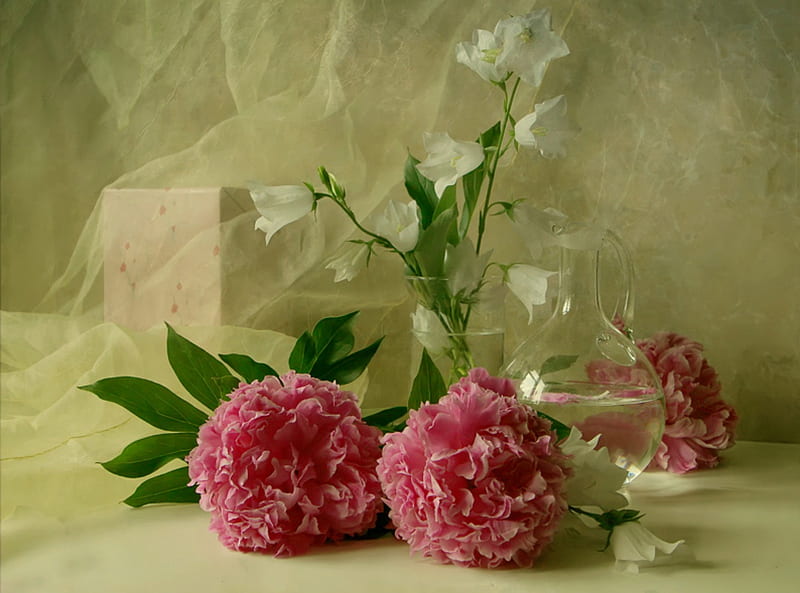 Lovely, gauze fabric, still life, flowers, vase, box, pitcher, peonies, HD wallpaper