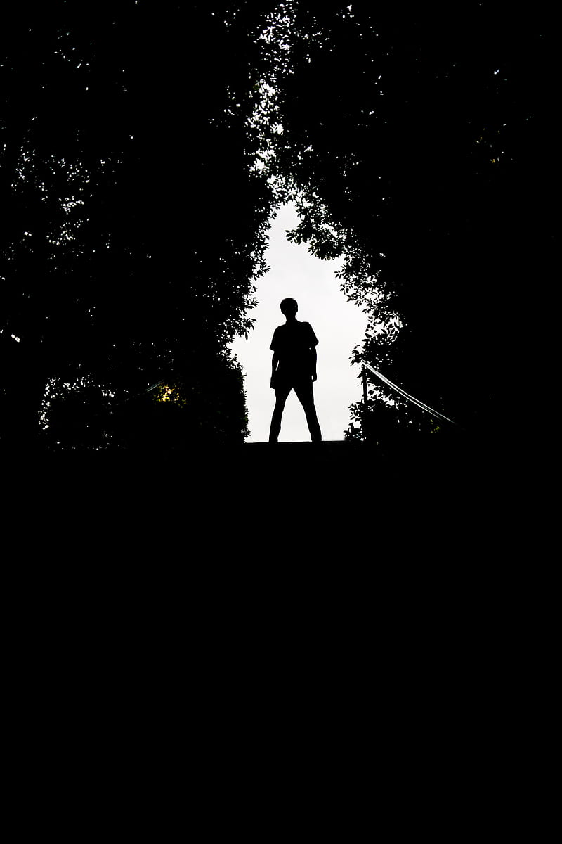 Silhouette, man, dark, trees, HD phone wallpaper | Peakpx