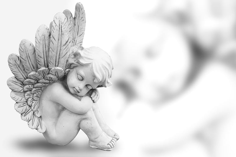 Gentle Angel , bright, wings, gentle, angel, HD wallpaper