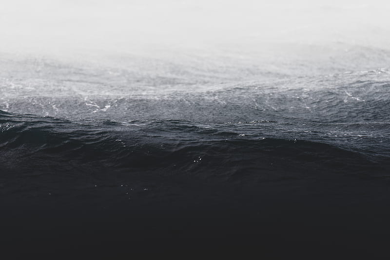 waves, water, bw, ocean, HD wallpaper