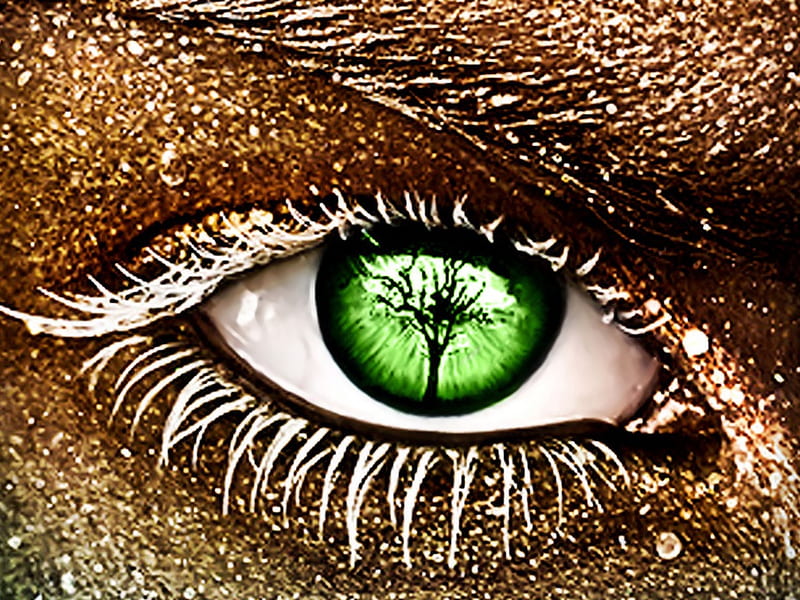 Big Eye, green eye, eye lash, eye brow, eye, HD wallpaper