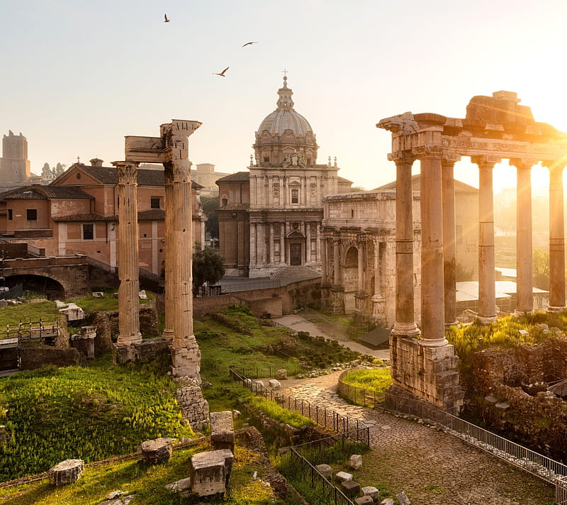 Rome, birds, buildings, italy, HD wallpaper