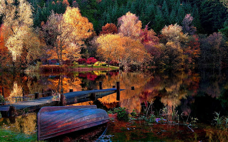 Light Reflection, forest, water, row, boat, nature, reflections, trees, lake, HD wallpaper