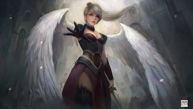 Fantasy, Angel Warrior, Angel, Feather, Wings, Woman, HD wallpaper