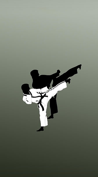 49 Karate Wallpapers  WallpaperSafari