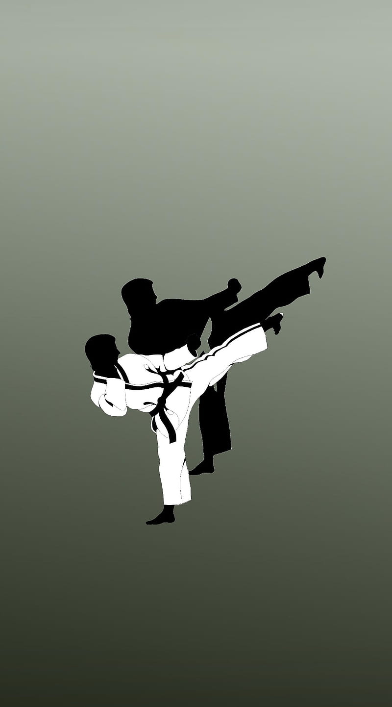 Martial arts, black belt, green, high kick, white, taekwondo, HD phone  wallpaper | Peakpx