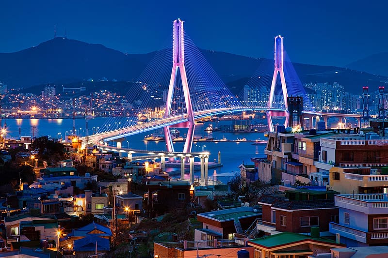 Cities, Building, Bridge, Bay, South Korea, Busan, HD wallpaper