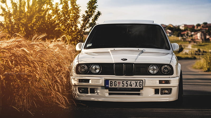 BMW E30, bmw-e30, carros, wheat, HD wallpaper