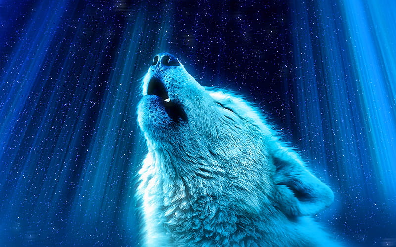white wolf night, predators, fantasy wolf, wildlife, wolf, Canis lupus arctos, HD wallpaper