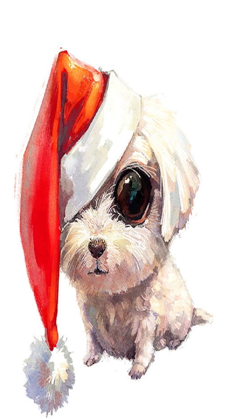 Christmas, dog, HD phone wallpaper | Peakpx