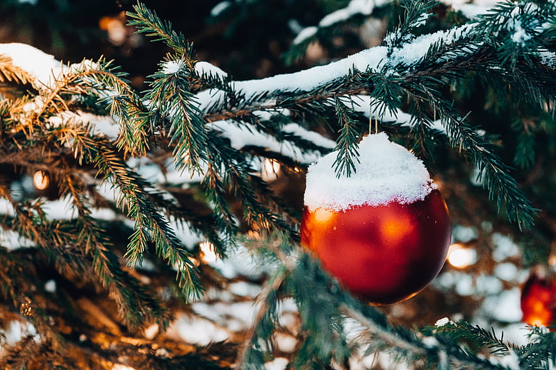 red and brown christmas bauble on green pine tree, HD wallpaper