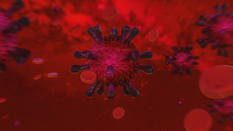 Virus Covid 19, HD wallpaper