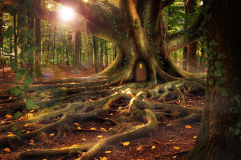forest, tree house, roots, Fantasy, HD wallpaper