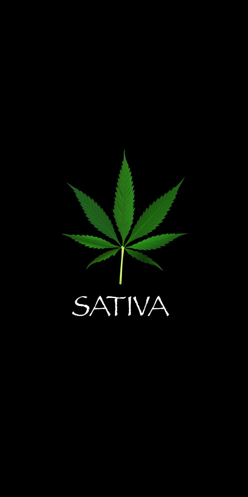 Sativa, 2020, canabis, grass, hip hop, indica, rap, romania, usa, HD phone wallpaper