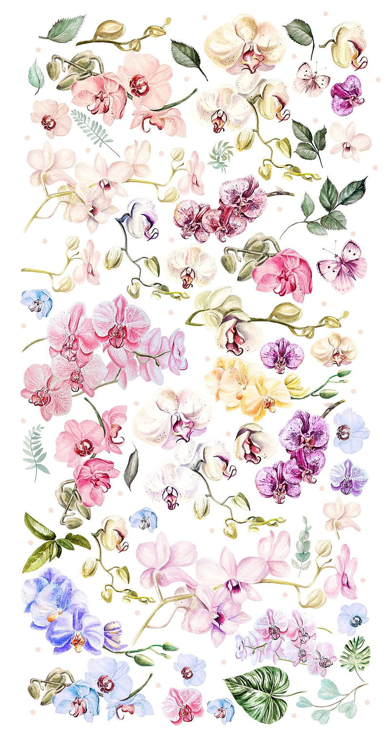 Orchidea, floral, super, HD phone wallpaper