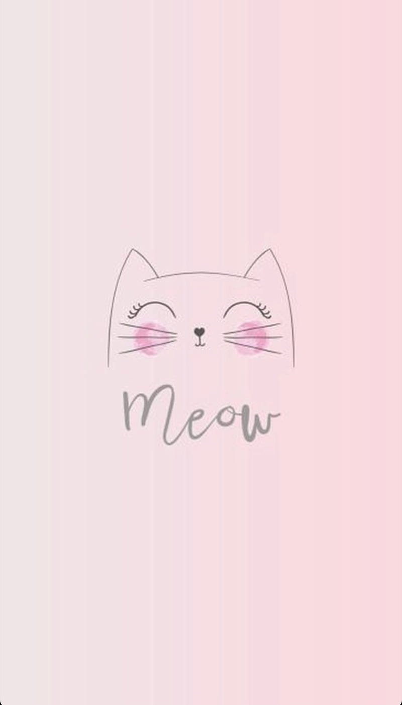 Meow Pictures | Download Free Images on Unsplash