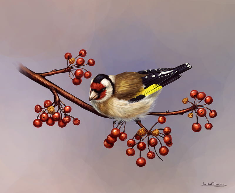 goldfinch, 3d, bird, paint, fuit, animal, HD wallpaper