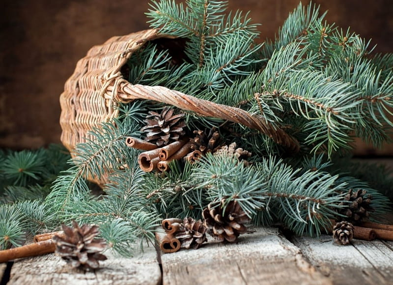 Pine Branches and Wicker basket, Branches, Wicker basket, Pine cone, Cinnamon, Fir, HD wallpaper
