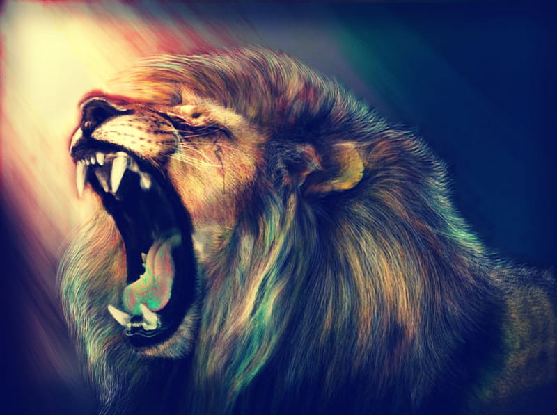 Scary Lions, Danger Lion, HD wallpaper