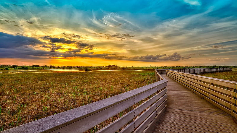 wooden boardwalk over wetlands, grass, wetlands, sunset, boardwalk, clouds, wooden, HD wallpaper
