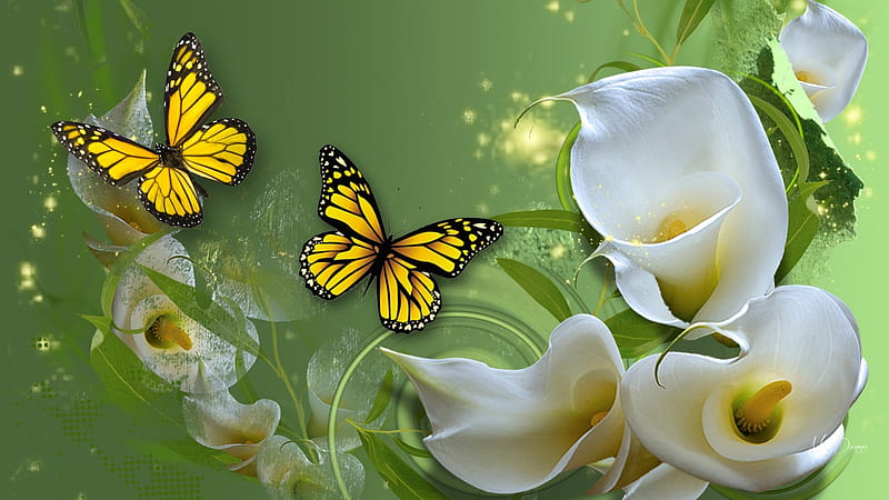 Cala Lilies and Golden Butterflies, Easter, cala lilies, green, summer, flowers, spring, butterflies, Firefox Persona theme, HD wallpaper