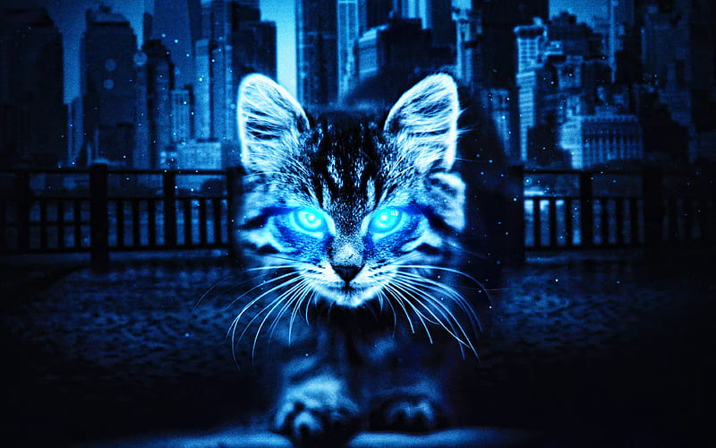 abstract cat artwork, blue eyes, pets, darkness, abstract animals, cats, HD wallpaper