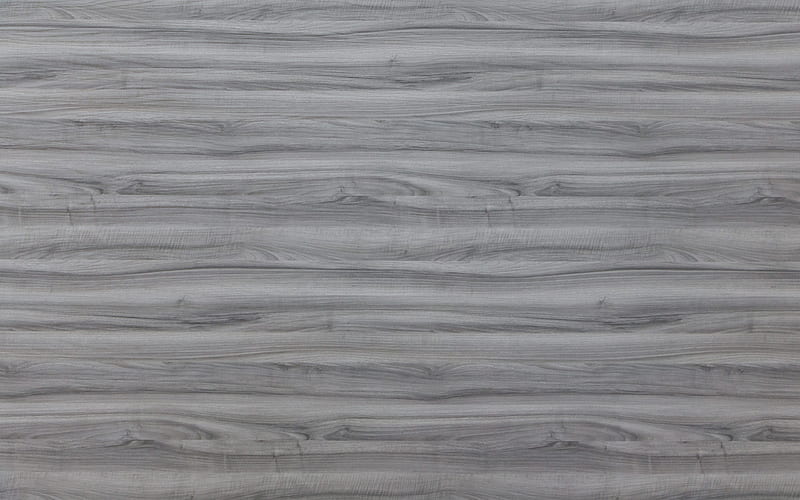 gray walnut board gray wooden texture, macro, gray walnut, gray wood, wooden textures, gray backgrounds, wooden backgrounds, HD wallpaper