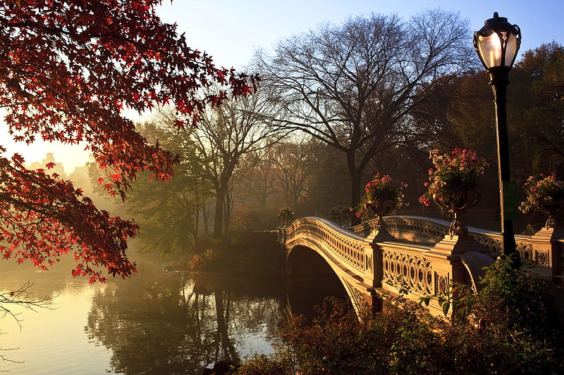 Central Park in Autumn, fall, leaves, water, bridge, colors, trees, NY, mist, HD wallpaper