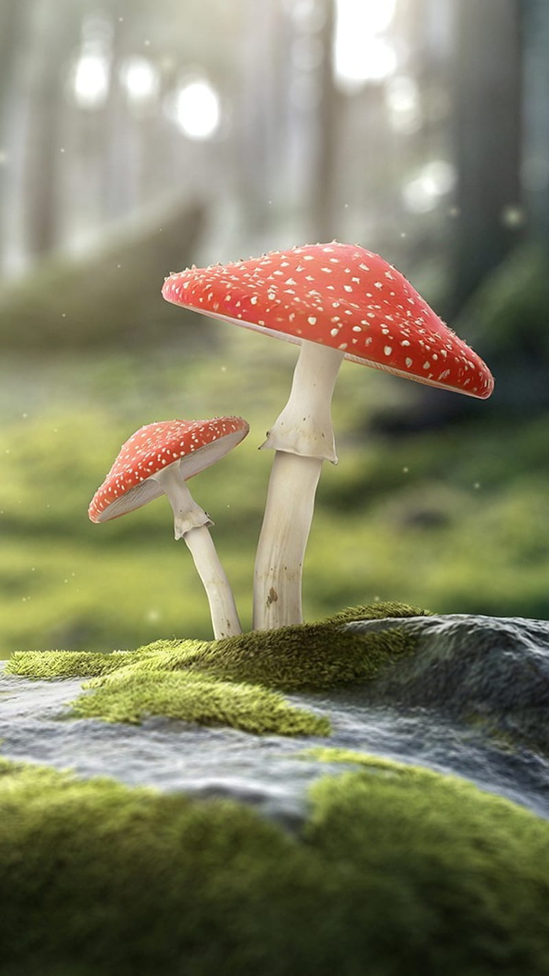 Buy Mystical Mushroom Phone Wallpaper Digital Download Witchy Online in  India  Etsy