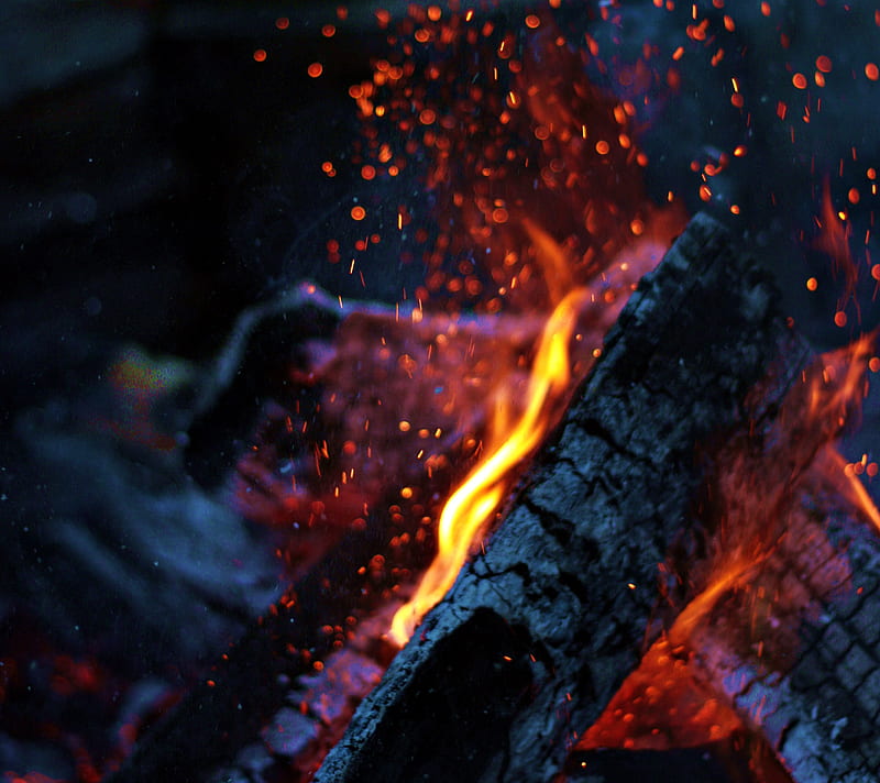 Fire, flame, macro, nature, red, wood, HD wallpaper