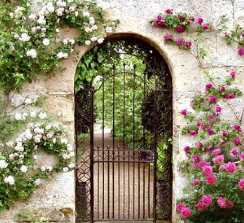 rose garden gate, gate, garden, flowers, roses, HD wallpaper