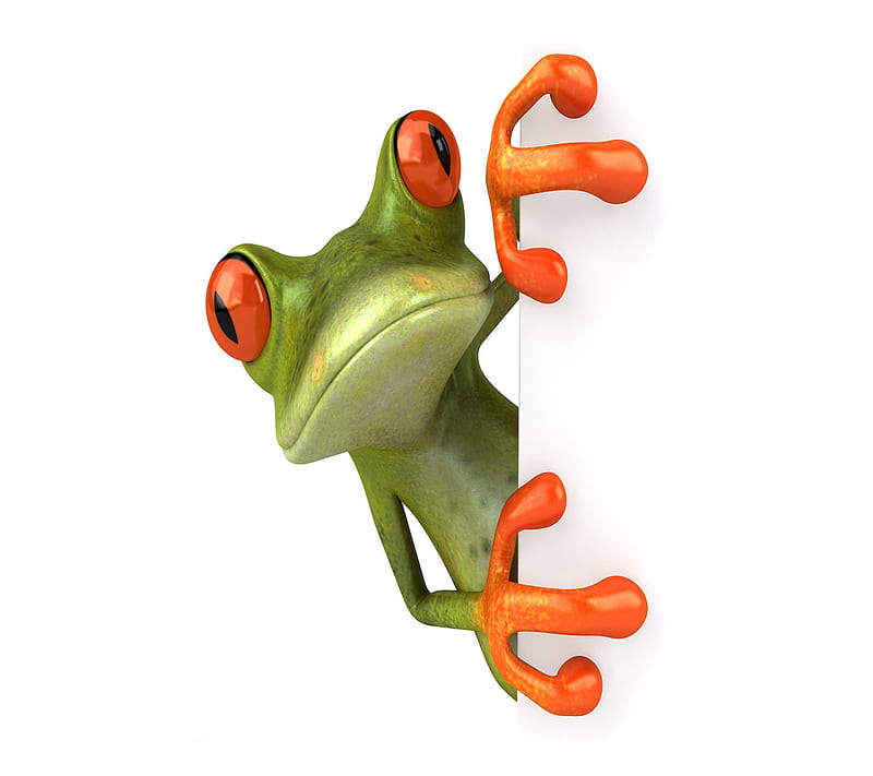 3D frog, animal, green, HD wallpaper