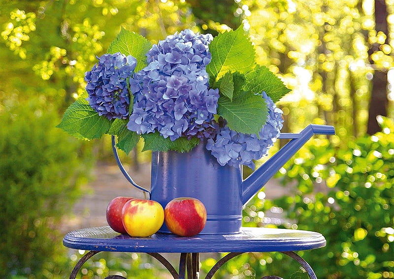 Hortensia azul., naturaleza muerta, manzanas, flores, color, azul, Fondo de  pantalla HD | Peakpx
