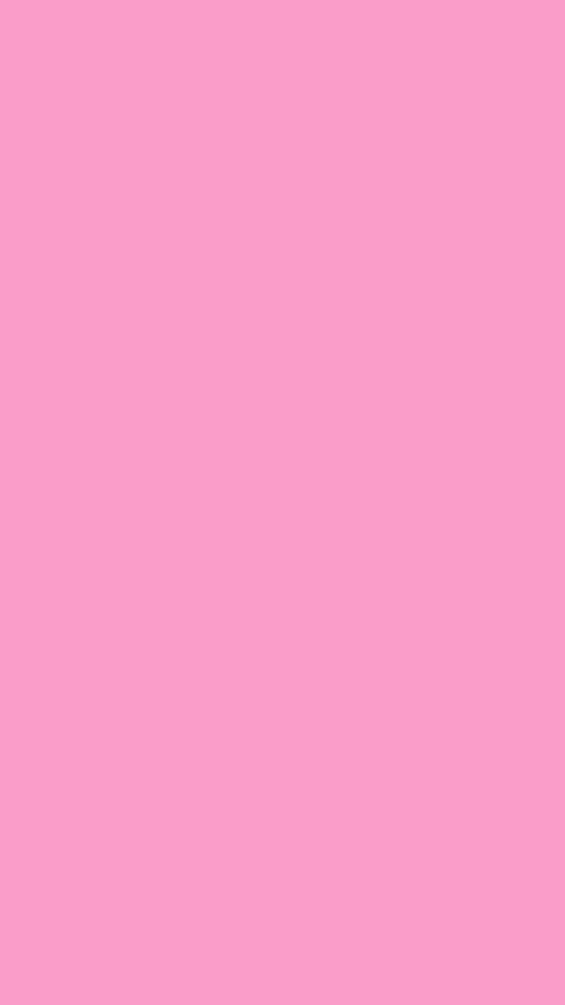 pink, color, background, HD phone wallpaper