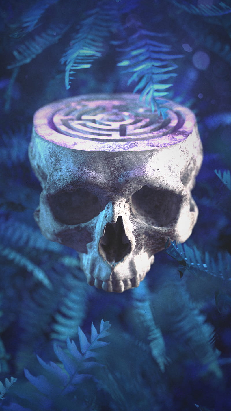 Skull Labyrinth, dark, fern, plant, forest, cgi, macabre, 3d, HD phone wallpaper