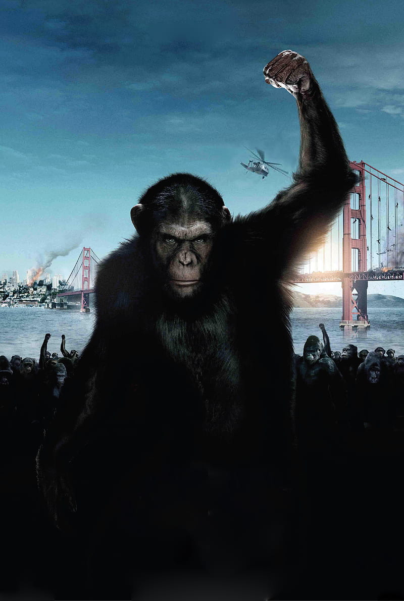 Planet of the apes HD wallpapers  Pxfuel