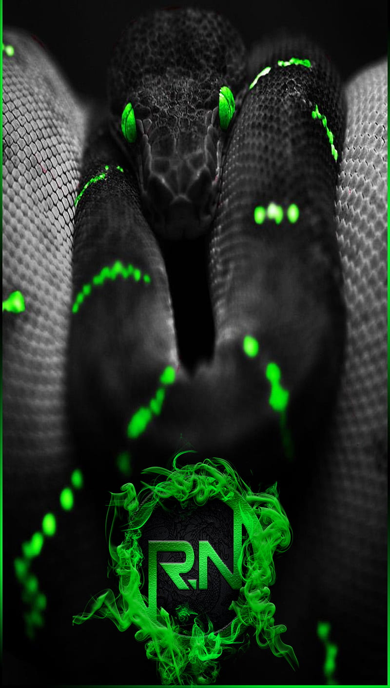 Green Black Snake RN, logo, regennation, snakes, HD phone wallpaper