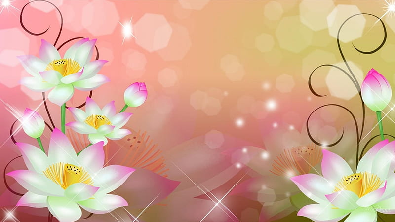 Lotus, bokeh, green, flower, yellow, white, pink, vector, HD wallpaper