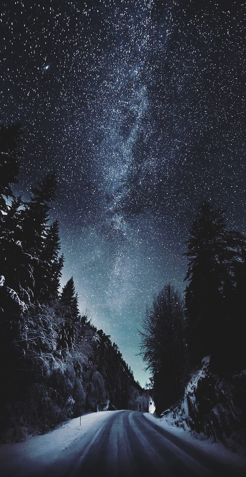 Winter Sky, cold, snow, bonito, stars, night, HD phone wallpaper