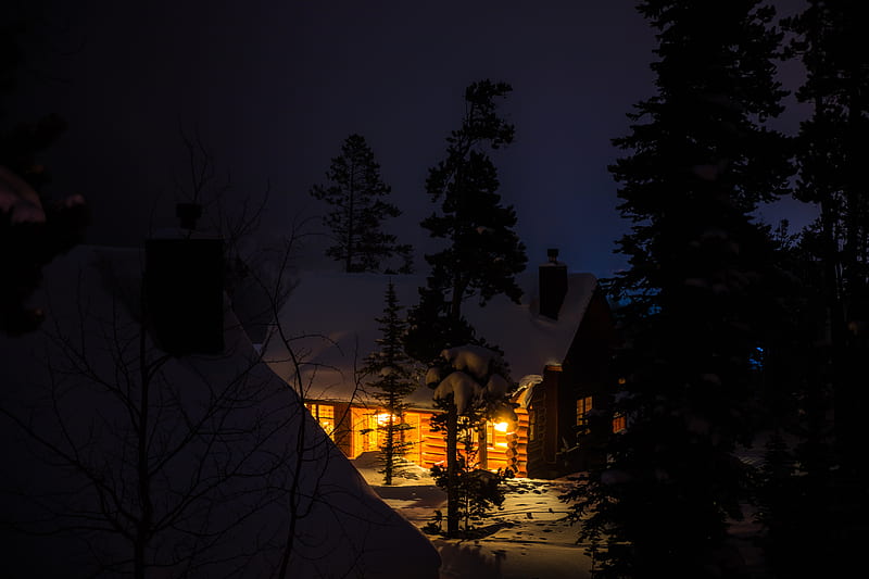 house, night, forest, winter, snow, trees, HD wallpaper