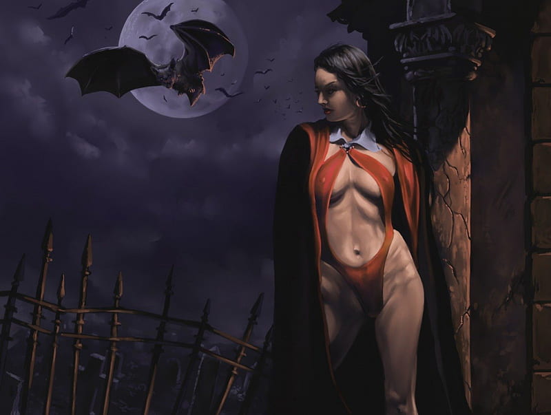 Vampirella, Graveyard, Cape, Comics, Immortality, Moon, Bats, Vampire, HD wallpaper