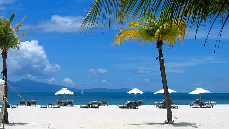 Langkawi Beach, Malaysia, umbrellas, sand, palm, white, sea, HD wallpaper