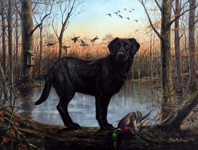 One Down, pond, hunting, painting, ducks, trees, artwork, dog, HD wallpaper