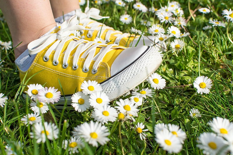 *, yellow, sneaker, flowers, soft, HD wallpaper