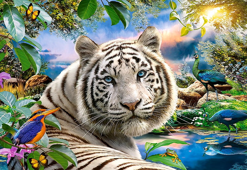 White tiger, luminos, pasare, peacock, tiger, animal, fantasy, water, bird, paun, summer, tigru, white, HD wallpaper