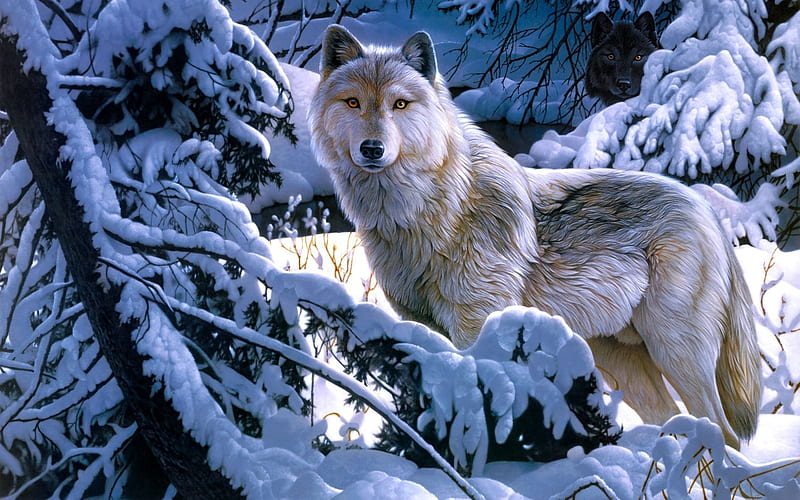 Lobos en invierno, bosque, árbol, lobos, invierno, Fondo de pantalla HD |  Peakpx