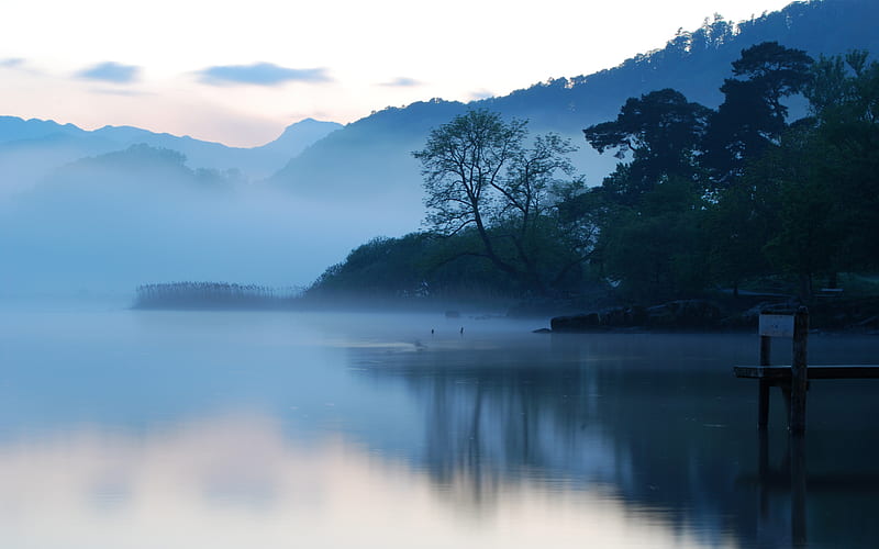 Early Morning, early, fog, lake, morning, phoyo, pier, HD wallpaper