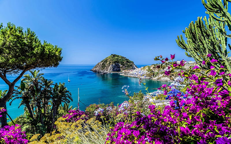 Italy, coast, sea, bay, bougainvillea, summer, Europe, HD wallpaper